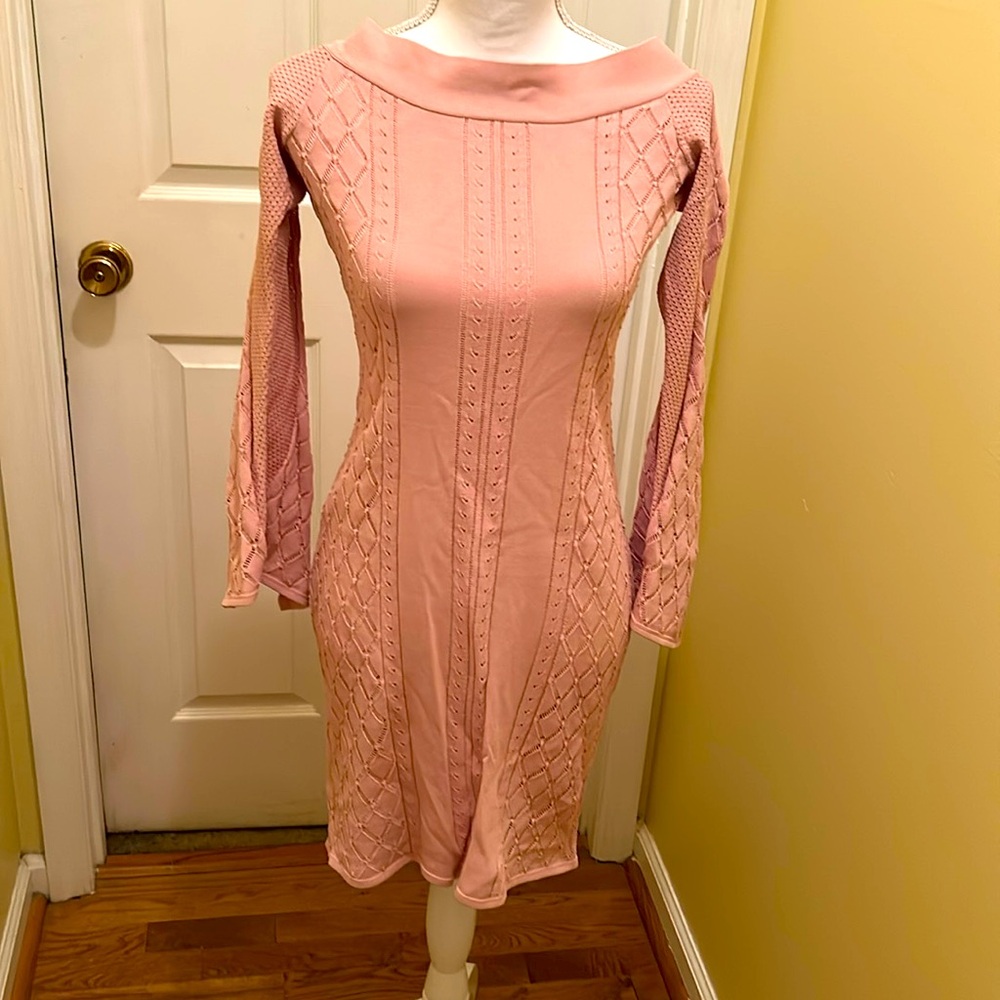BCBGMaxaxria size large, pale, pink